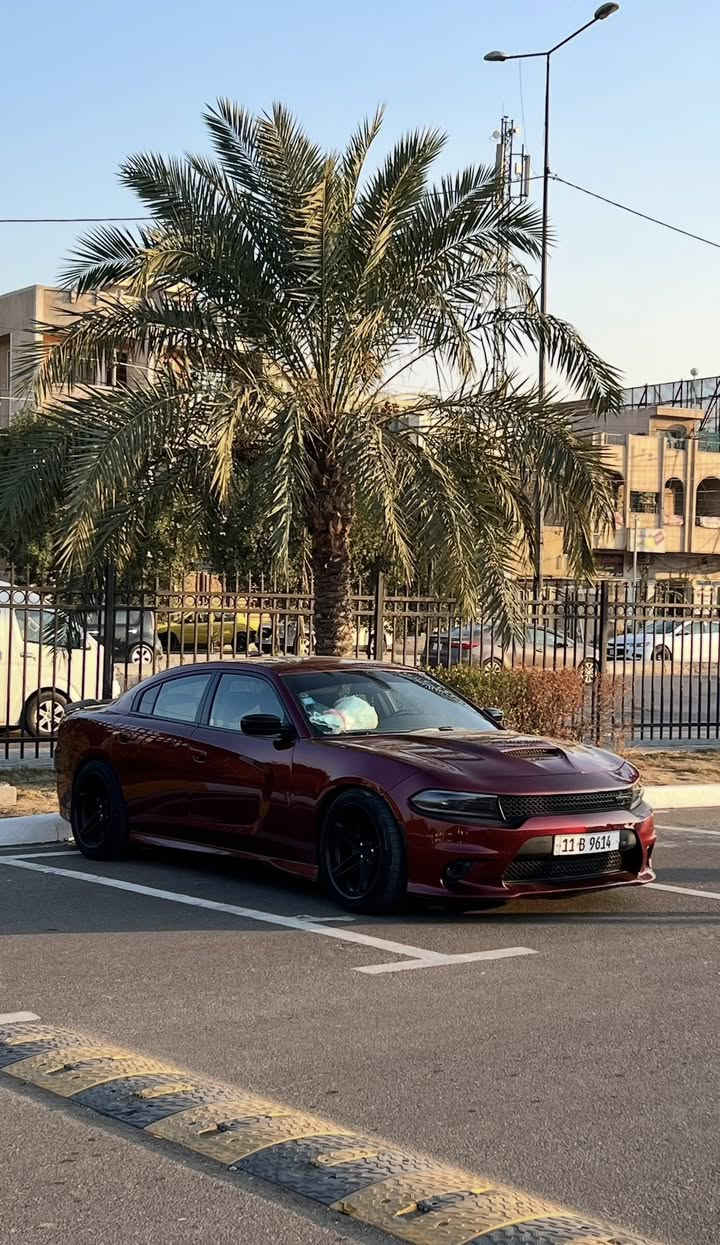 جارجر rt super track pack 2022
 رقم بغداد مميز بدون ايرباك صبغ جاملغ خلفي فقط صور الحادث بالمنشور والباب مبدل باصلي نفس اللون بدون قطره صبغ 
ماشيه 30
فتحه سقف
تخم ويالة فيرادا الاصلي
دكمة بوابات كاتمه للصوت 
كامره وحساسات خلفيه 
اويل كاج كان
داون بايب
اكسل 3.09
ولف حماوه ريسنك 82
عليها برمجه مصطفى ايكل برمجه ولف و اكسل و برمجه و كتوف وبوب كورن كلها ضمن السيفتي
السعر ٢٩٦ بي مجال للشراي
***********
