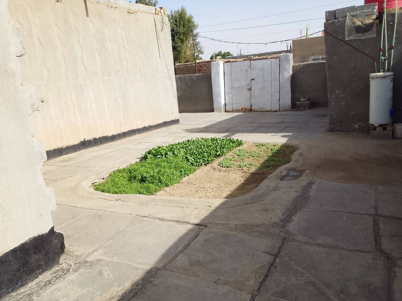 بيت زراعي مساحه 300 موفقيه قريه اولاد سعر 35 ***********
