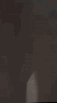 جملون لبيع طوله ١٦ متر
وعرضه ٧ سبعه متار ونص
ورتفاعه ٤ صافي
كل قطع وحده حل وشد
ستفسار تصال عله رقم ***********
