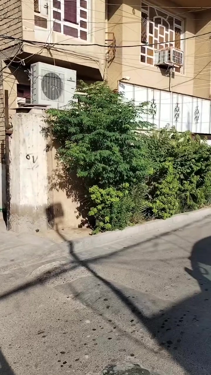 السلام عليكم

🛑 قطعة 50 متر مربع

🛑 الواجهة 4  النزال 12.5 

🛑 شارع الغربي

🛑 بشارع العمارة الصفر

🛑ةقرب اسواق ليمونة

🛑 واجهة الشارع

للاستفسار الاتصال على الرقم

☎️ ***********
☎️ ***********
