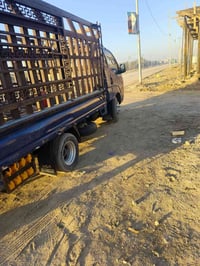 ٢٠٠٩ • رقم انجليزي • مشي ١٢٠٠٠٠