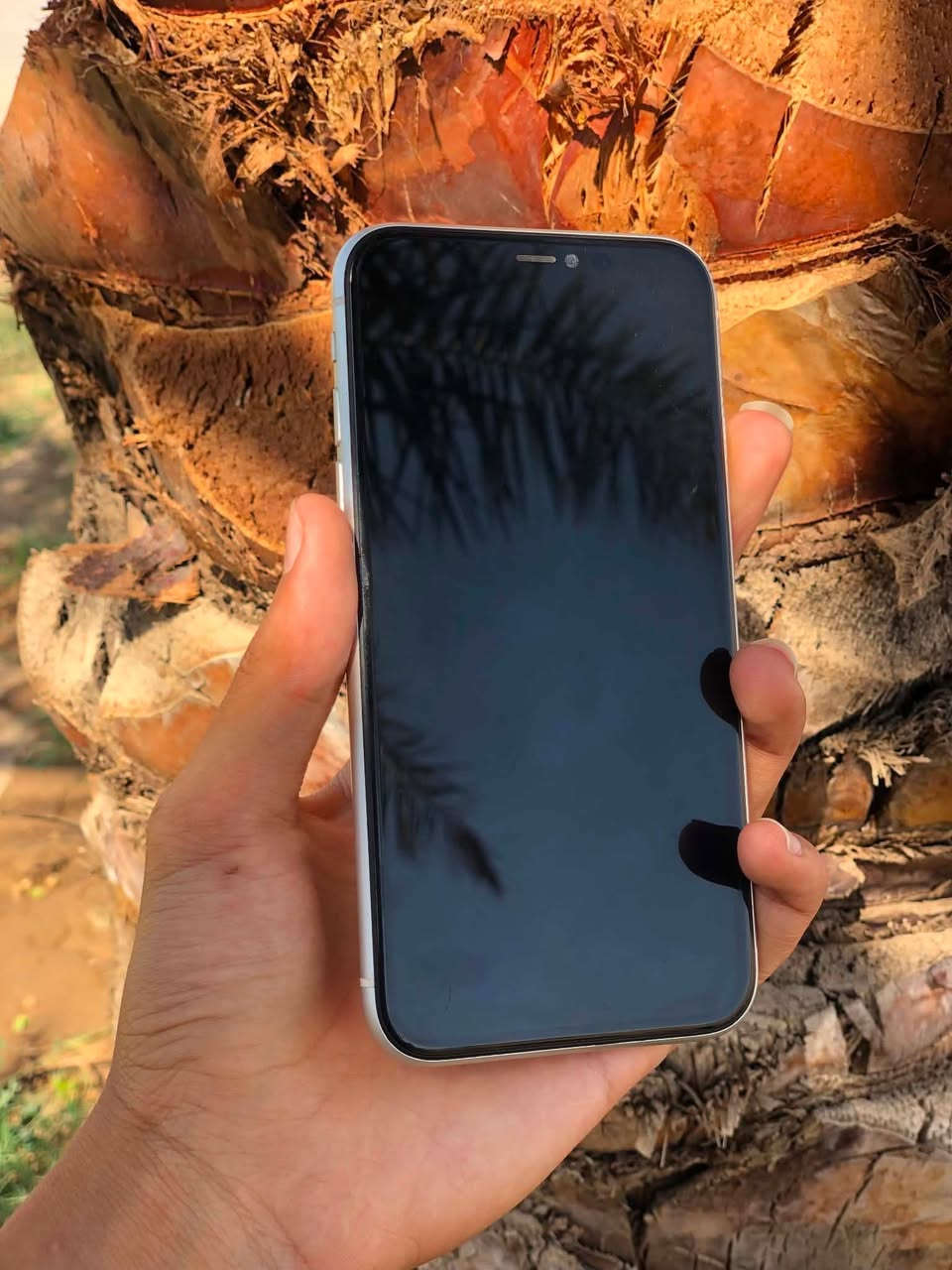 للبيع iPhone11 
بلادي 
ذاكرة 128
بطارية 76
فيس إيدن شغال 
نضافة 100/100
كلشي شغال 100/100
تأخذة وتفحص عل حاسبة 
سعر مناسب 250فقط 
عنواني تكريت -البوعجيل


**إذا كنت صاحب هذا الإعلان وتريد حذفه لأي سبب، رجاءا أرسل رسالة إلى الدعم الفني**