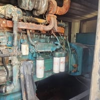 مكلف بنشر فول درجة أولى للستفسار 07771497877
