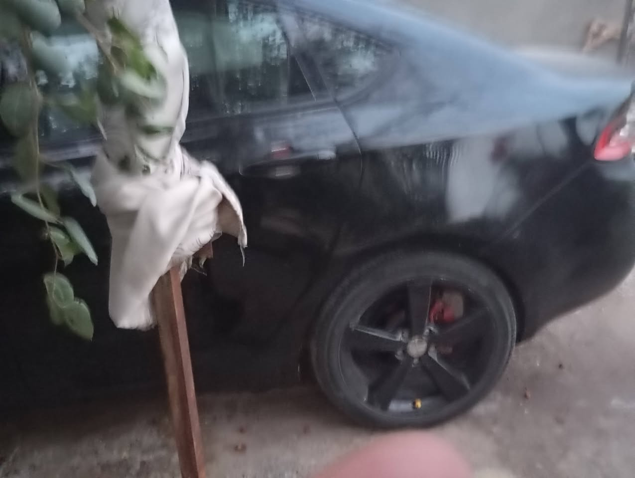 دوج دارت موديل 16 حادث جاملغ امامي الايمن تدفئه تبريد حدادية جديده تخم تاير جديد كهربائيات شغاله العنوان الديوانية قضاء عفك الاتصال على الرقم *********** السعر 90 أو بيها مجال للشراي
