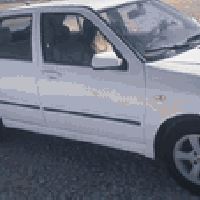 شيري كوين • ٢٠١٣ • طخة خلف