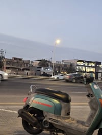 ماكس بوليسي • زيتوني لامصبوغ • بصرة كرمه