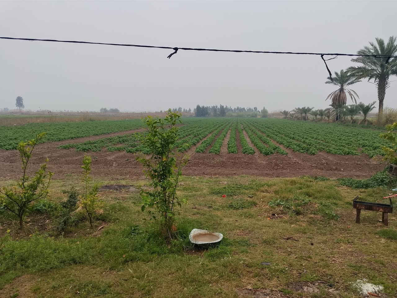 ارض زراعيه 5دونم سند 25 حق التصرف طابو المحموديه متوفر كافه الخدمات فيها ماء سقي 4خطوط وماء الاساله خطين وكهرباء ثري فيز وسحب مولده العنوان اليوسفيه قرب سوق ابو طارق  منطقة البومفرج سعر الدونم 60مليون وبيه مجال لتفاصيل أكثر الاتصال على الرقم التالي ‏‪***********‬‏
