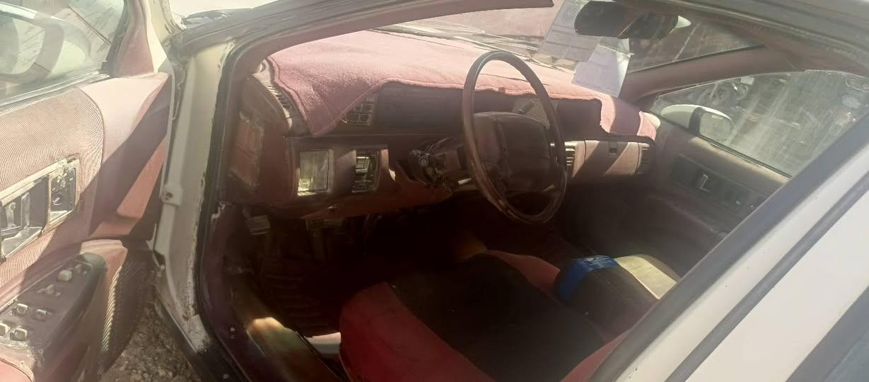 السلام عليكم دولفين مناسبه للبيع عنوان ذي قار الشطره *********** بلاد مكينه وقير
