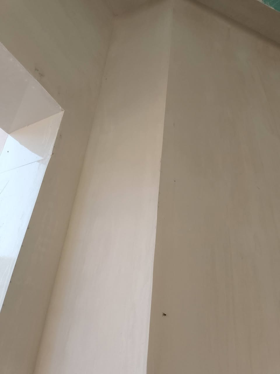 سلام عليكم هذا شغلي  طلس وبورك متغرغ حلين ***********
