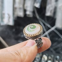للبيع • قيم سعر • ناصريه مركز