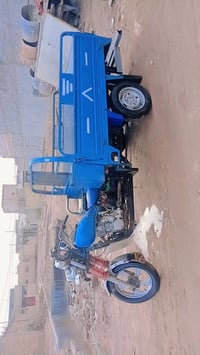 ستوته • رقم ابيض • مداور