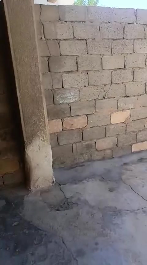 بيت البيع في حي المعلين المساحه 150
استفسار ***********
