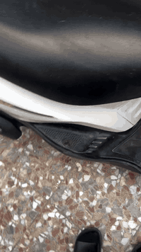 دراجه بريز دراجه اوراق بيهادراجه جديده مكينه ناعمه دراجه جاهزه مجهزه س...