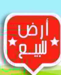 التحرير • ١٠٠م • جامع عمر