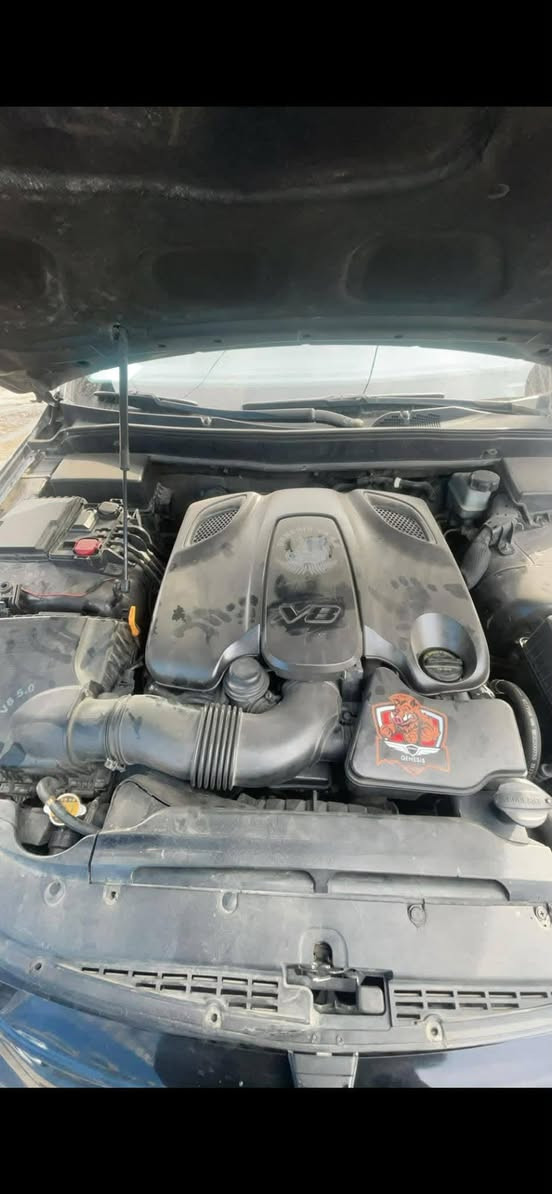 سلام عليكم 
جنسزز للبيع موديل 2012

وارد امريكي صور الحادث بالمنشور
فول مواصفات 1/1 للاخير
مكينه V8 46💪💪💪مكينه +كير جدد
مواصفات :- برده كهرباء ~cd-ام بي فاير~كشن تدفئه تبريد~كشن مموري ~فتحه ~ماوس تحكم~شاشه بلادي ~حساسات خلفي امامي ~رادارات ~كامره ~لايت زنون ~مواصفات اخرى معروفه
رقم اربيل الدولي بسمي
تخم تاير جديد 
السياره كامله للاخير 
السعر 130 و بيه مجال 
*********** تفاصيل اكثر اتصل
