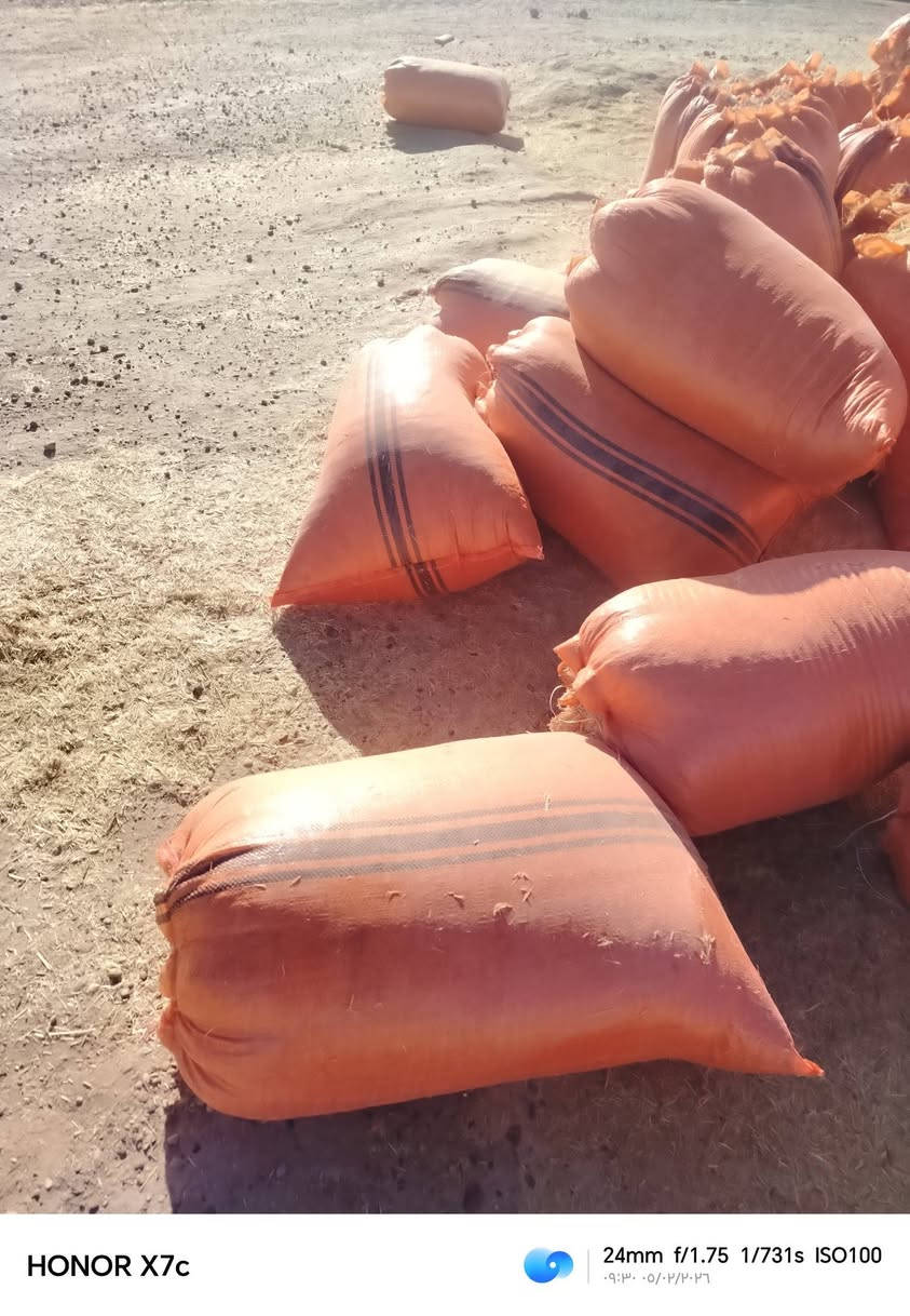 يوجد تبن مجروش كميه مفتوحه للبيع ***********وتساب
