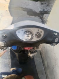 ماكس ثعلب  مكاني حي الجامعة أوراق كاملة  500 وبيها مجال 07881888131
