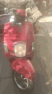 دراجة بوليسي • كلها شغالة