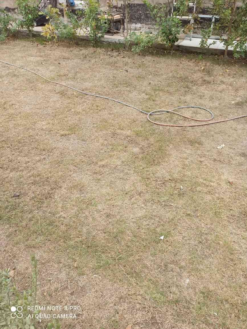 سلام عليكم متوفره جهاز ردمي نوت8بروذكره128ورام6جهاز نضيف فقط نمش بل ضهر بسب كفر يشغل60فريم بلعبت بببجي فقط كارتونه ويايه سعره125الف توصل وتساب***********
