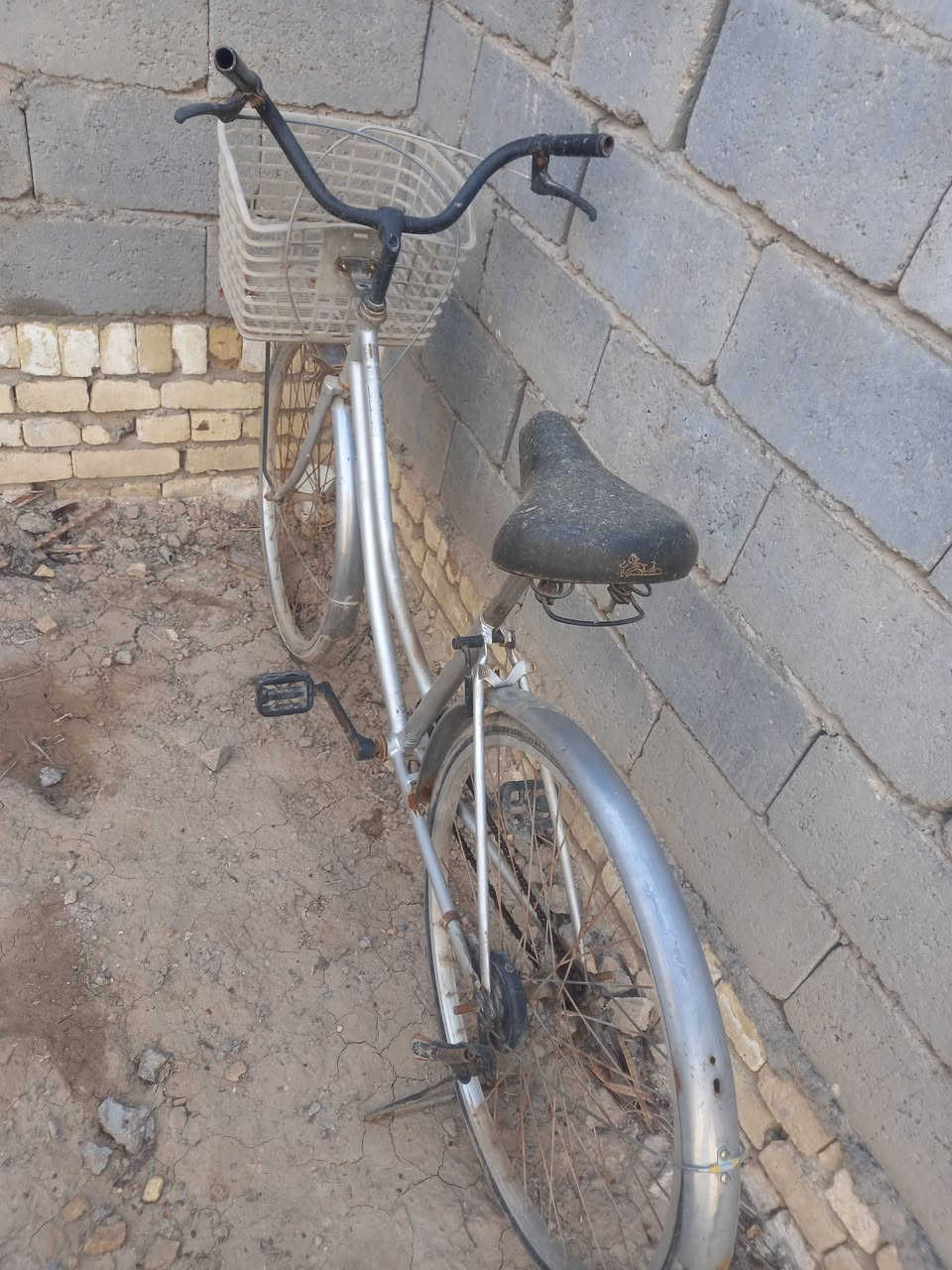 سلام عليكم من رخصة المدير 
للبيع بايسكل حجم ٢٦ مال باله ياباني البايسكل كلش نضيف احلا من الصوره بلحقيقه السعر  ٥٠ وبي مجال قليل للشراي 
اتصل واتساب وبي خير ويدلل ***********
