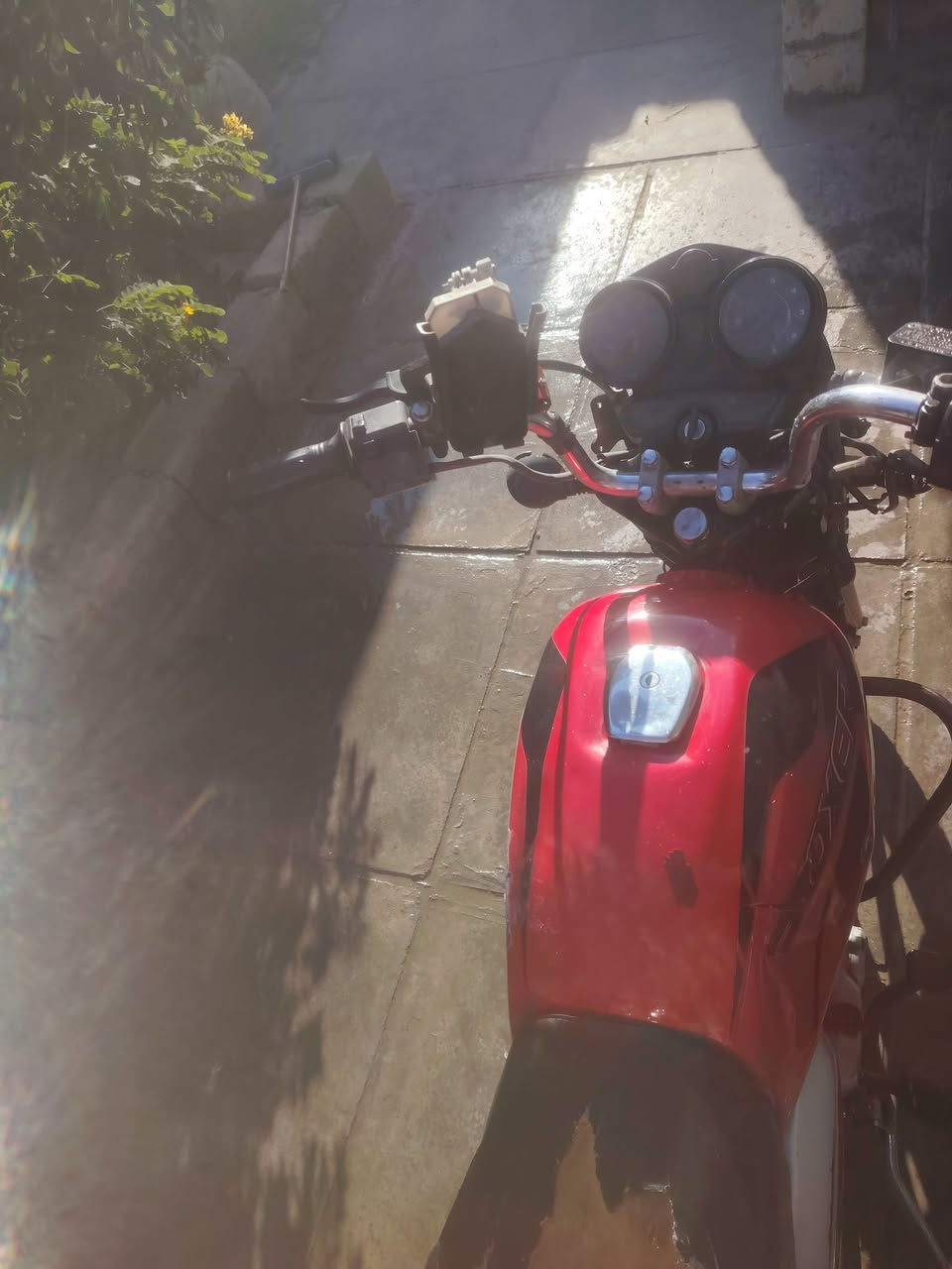 السلام عليكم بوكسر جبلي 2020 شهر 12 كامله أوراق
عطل الدراجه لاطشه
سعر 700 وبيها مجال للناس الطيبه
عنواني بغداد الزعفرانيه *********** متواجد واتساب
