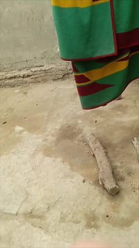 مرخصت مدير الكروب منشار قطع الاشجار مستعمل اقل م̷ـــِْن شهر مامتعوب فق...