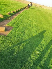 تصميم حدائق • حسب الطلب • الرمادي