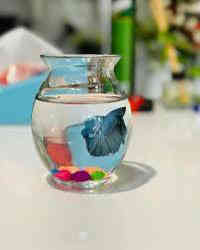 اللهم صل على محمد وال محمد 
الدوارق الي متوفره في #معرض_السيد_لاسماك_الزينه
الاسعار داخل الصور  
العنوان
طوز خورماتو سايدين امام احمد مقابل قصابة حكمت 
☎️سيد ليث *********** واتساب او اتصال
☎سيد منتظر *********** واتساب او اتصال
🚚يتوفر خدمه توصيل داخل طوز خورماتو مجاني 
🚛 يتوفر خدمة توصيل جميع المحافظات 6 الف دينار
