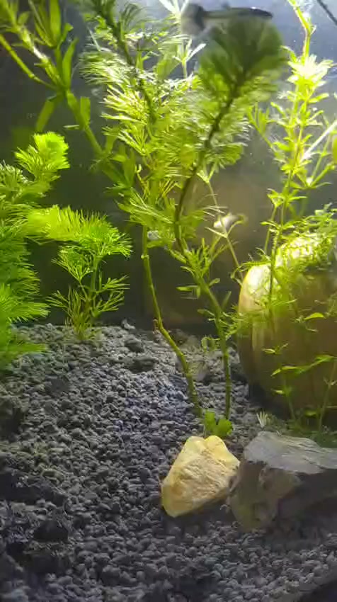 السلام عليكم اغراض للبيع كلمن وسعرة تخم تركي عشر مقاعد 350
حوض سمك القياسات 
العرض ٤٠ 
الارتفاع ٢٥
العمق ٢٠
السعر 50 
حذاء طفل قياس 25
سعرة 5 الف 
قمصان صيفي الواحد 5اربعة 15
 وسوت 10
الشراي يدخل خاص


**إذا كنت صاحب هذا الإعلان وتريد حذفه لأي سبب، رجاءا أرسل رسالة إلى الدعم الفني**