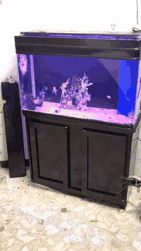 السلام عليكم متاح حوض اسماك كامل الملحقات نظام فلتر سامب قياس عرض ٩٦ الارتفاع ٦٠ النزال ٣٧ السعر 200 الف مكان بغداد حي الجهاد ***********
