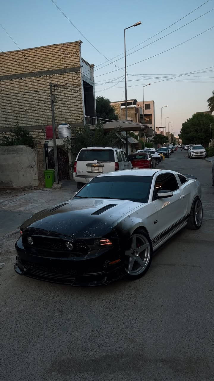موستنك gt 2013 بريميوم فول
عليهه هدرز لونك امريكان ريسنك
وعليهه شوته AIRAID
حشوه المكينه مزوده
عليهه برمجه
السياره فول هوائيات 
السياره شتريتهه حزام بس هيه مو 
حزام بيهه قطع
غرفتهه جلد جديده كلش
تخم تاير جديد بلجيس
وياله فويسن 20
صدر امامي خلفي جديد
السياره نقصهه تبريد شتريتهه كلي منقصه غاز ومافحصت على حطتهه 
رقم بغداد الجديد
هزه وسنويه جديدات 
هزه بعد 9 اشهر يله تسقط والسنويه 2032
سعرهه 128
مكان السياره بغداد اليرموك ***********
