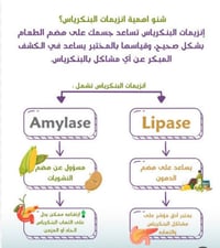 فحوصات بنكرياس • أميليز ليباز • النعمانية