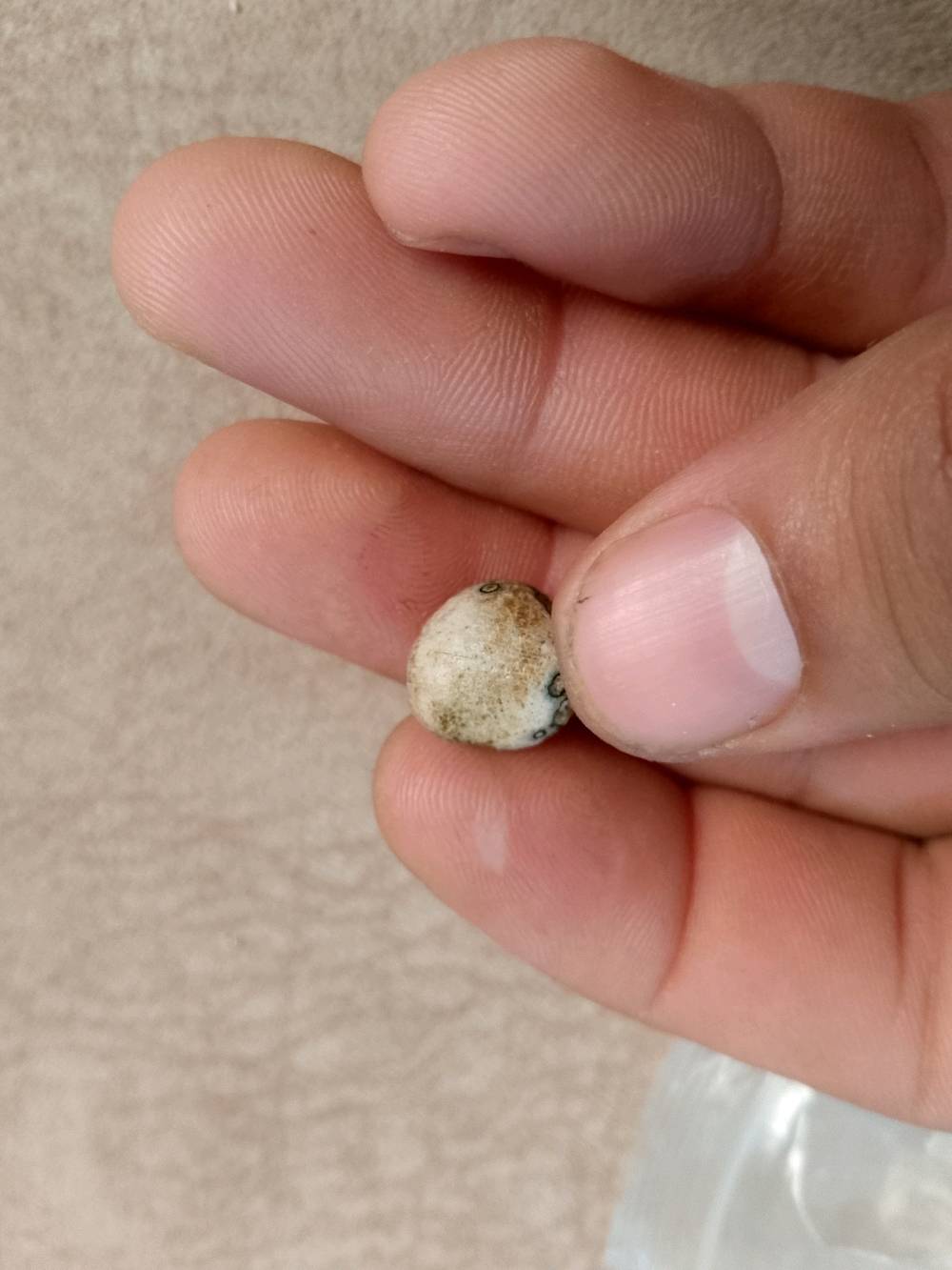 اسلام عليكم احجار للبيع كلمن وسعره بكاني مدينه الصدر 