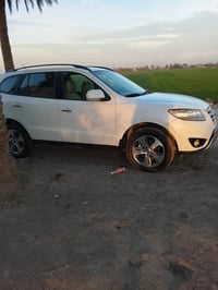 سنتافي 2012 • كفاله • كوفه العباسيه