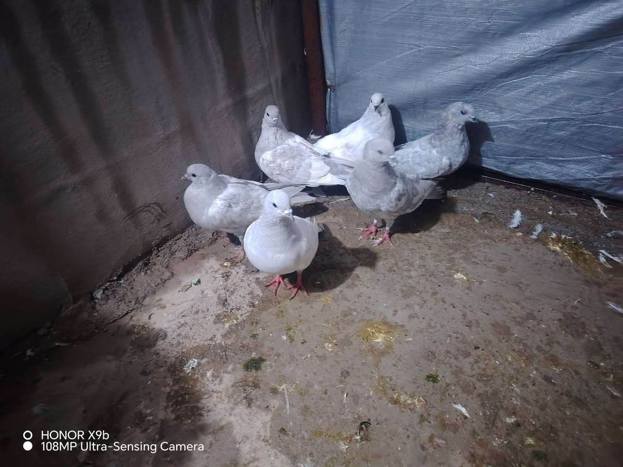 بخاريات لبيع ٣ أزواج سعر الزوج ١٥ المكان حمدانيه *********** رقمي الاسيا***********
