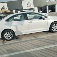 كورلا • ٢٠٢٤ • رقم أربيل