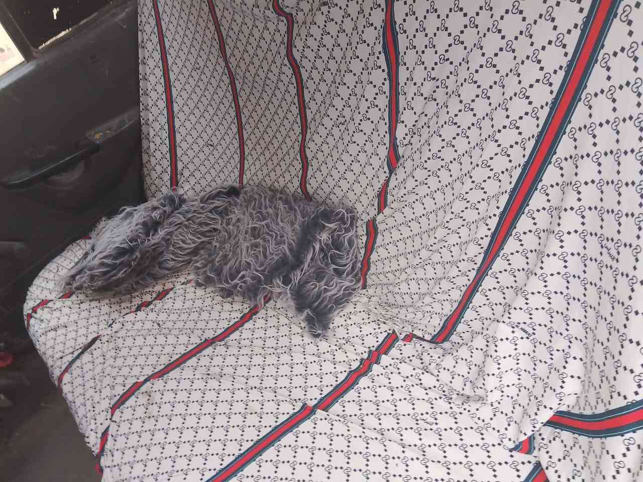 سايبه موديل 14 جاهزه صاحبه بل ناصرية مواصله ابيع هيج سعره 16 او مراوس محرك بي خيط  بخار كير جديد حداديه جديد تخم تاير كهربائي كله شغاله شلع تخبل ترايك وين ميعجبك مكانه كربلاء


**إذا كنت صاحب هذا الإعلان وتريد حذفه لأي سبب، رجاءا أرسل رسالة إلى الدعم الفني**