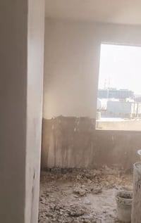 بخ ومبيضجي • متفرغ • بياض