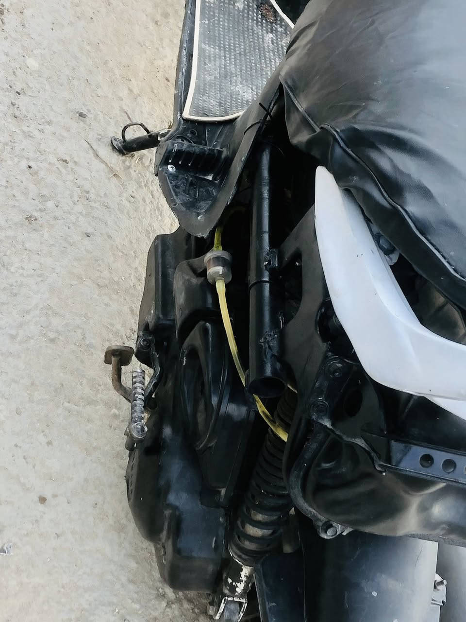 السلام عليكم فراشه للبيع دراجه نضيف وحلوه وببيه شلع تخبل دراجه مسويه رياضي وكفراتي وضيل موجودات هم عندي مكاني قضاء النصر سعر/300وبيه مجال ماعاجبك سعر لا تكسر ولا تعبني فدوه متواجد ماسنجر وشكرا 🖤


**إذا كنت صاحب هذا الإعلان وتريد حذفه لأي سبب، رجاءا أرسل رسالة إلى الدعم الفني**