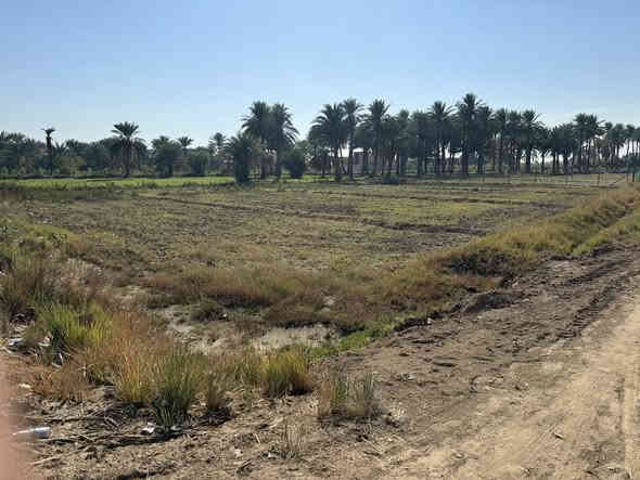 السلام عليكم 
قطعة ارض للبيع المساحة ٥٦٠ م سند ٢٥ جاهزة ماء كهرباء تبليط 
الموقع الزبيدية قرب سيطرة السده منطقه بيت عابد تبعد عن السيطرة ١٠٠ م
تبعد عن الشارع ٢٠ م 
للاستفسار الاتصال ع الرقم 

‭٠٧٧١ ٣٥٠ ١٩٢٣‬
***********
