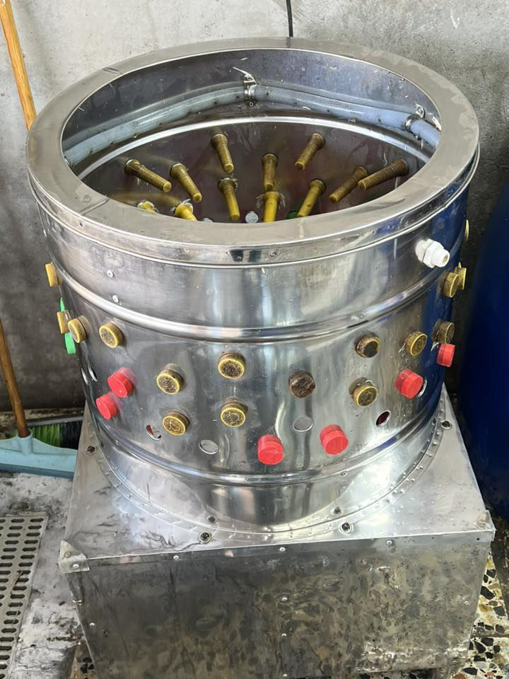 السلام عليكم هلاسه دجاج للبيع نظيفة وشغاله عالفحص مكان بغداد للتواصل والاستفسار ‭0783 855 9550‬
