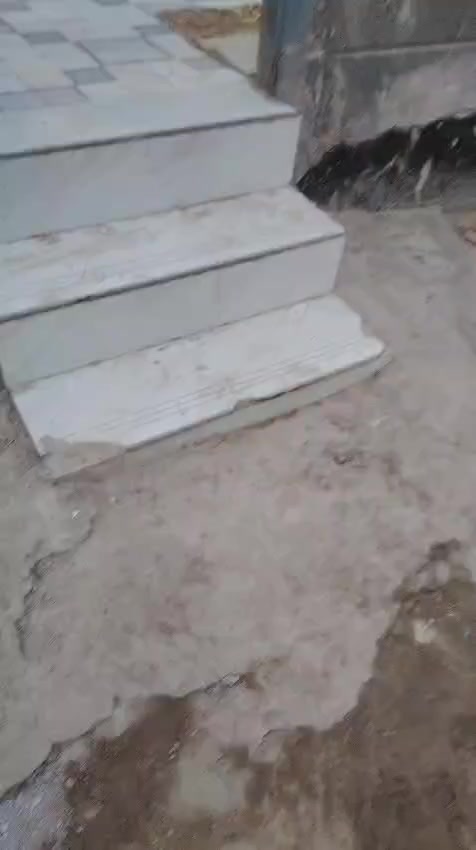 بيتين حي شرطه مساحه ٢٤٠م بيع مستعجل سعر مناسب جدا حي مع اثاث *********** مراجعه مكتب المسعودي
