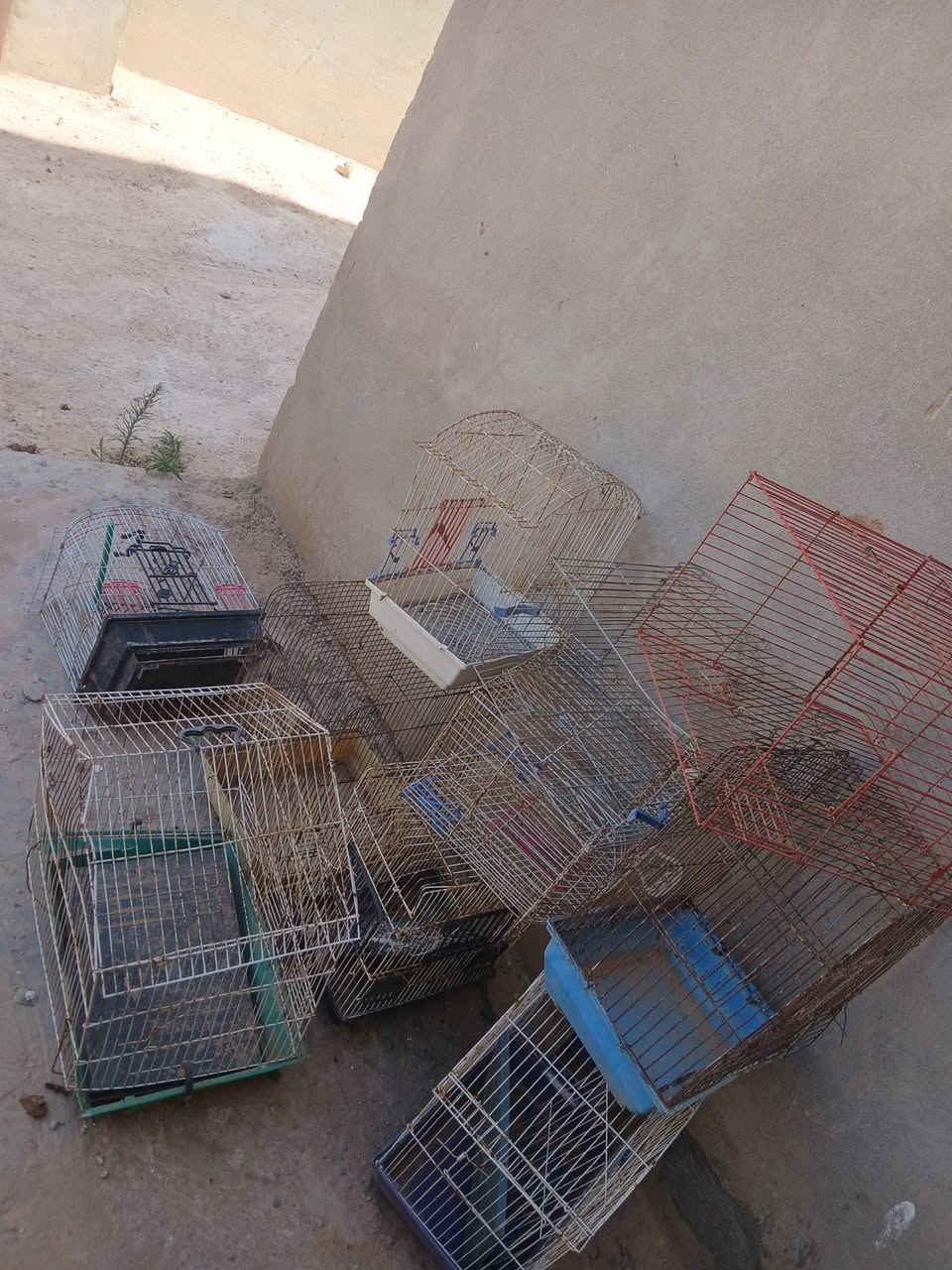 اقفاص للبيع


**إذا كنت صاحب هذا الإعلان وتريد حذفه لأي سبب، رجاءا أرسل رسالة إلى الدعم الفني**