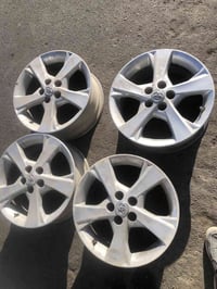 تخم ويل كب حجم ١٦ اصلي  السعر ٢٦٠ الف  بغداد غزاليه ٠٧٩٠١٢٧٨٥٥٦