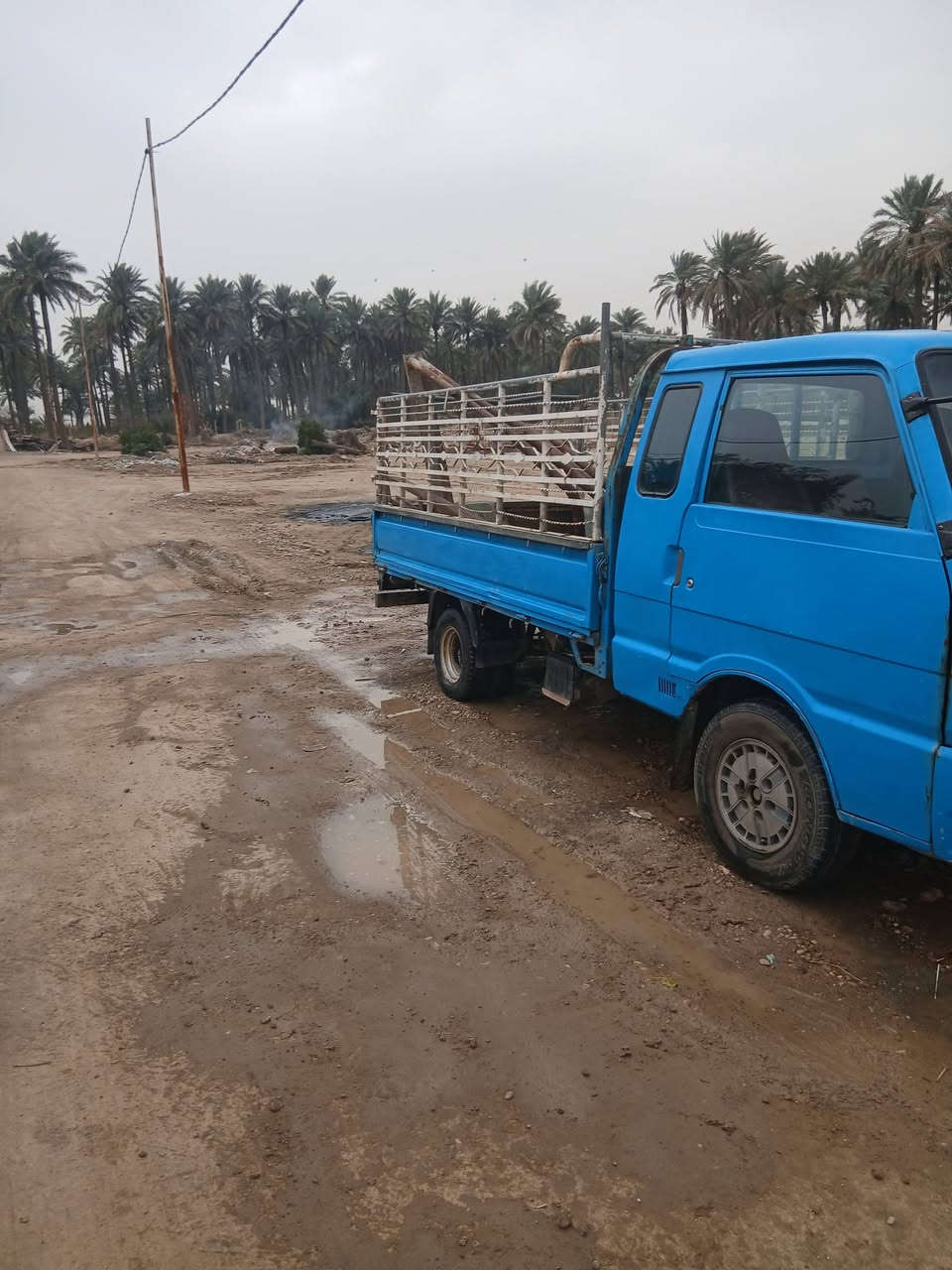 للبيع كيةبنكوموديل٩٦محرك مجفت جديد رقم ديالى مصبوغةعام السعر٤٥مكاني بغدادالتاجي***********
