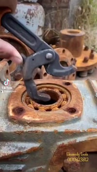 زرجينة بلي داخلي • ١٦-٣٨ملم • المنصورة