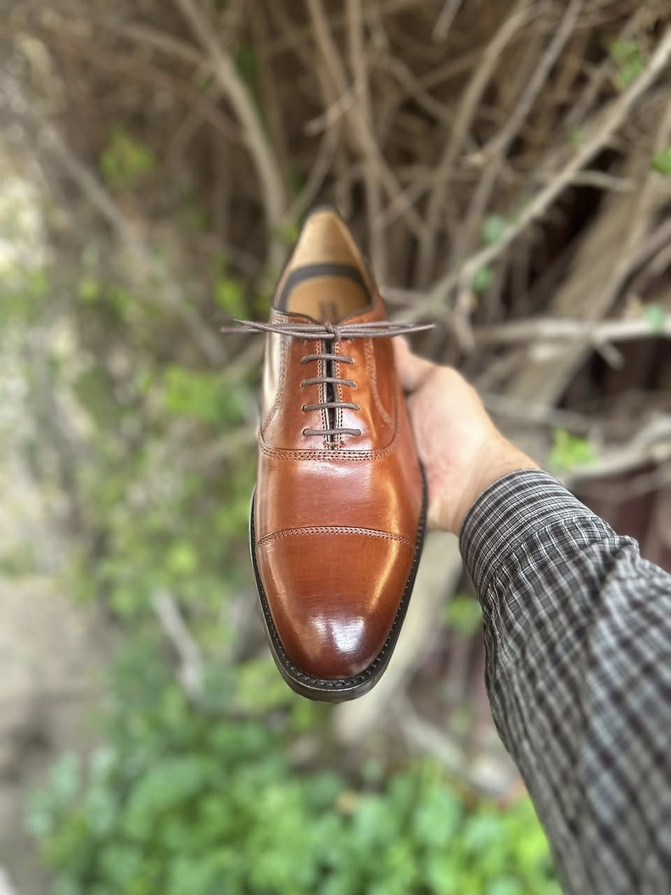 اكسفورد قياس 42
***********
