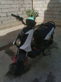 سكنس جبلي • مكفولة • كربلاء