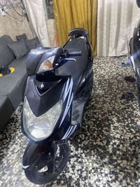 سكنس فحل • ياباني • اوراق