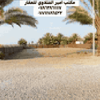 أرض زراعية • ٩٠٠م • بابل أبي غرق